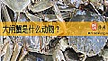 《大闸蟹是什么动物？》封面图