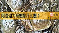 阳澄湖大闸蟹是什么蟹？