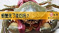 《螃蟹死了能吃吗？》封面图