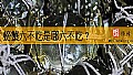 《螃蟹六不吃是哪六不吃?》封面图