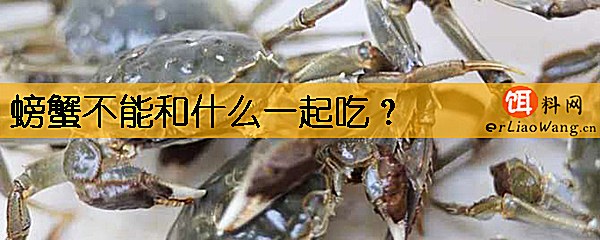 螃蟹不能和什么一起吃