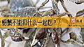 《螃蟹不能和什么一起吃?》封面图