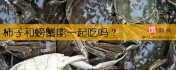 柿子和螃蟹能一起吃吗