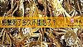 《螃蟹死了多久不能吃了?》封面图