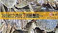 《24小时之内死了的螃蟹能吃吗？》封面图