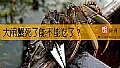 《大闸蟹死了能不能吃了？》封面图