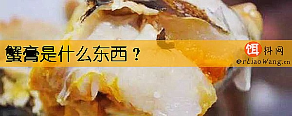 蟹膏是什么东西
