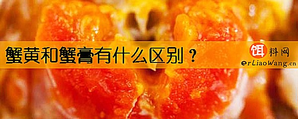 蟹黄和蟹膏有什么区别