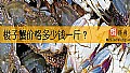 《梭子蟹价格多少钱一斤？》封面图