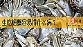 《生吃螃蟹容易得什么病？》封面图