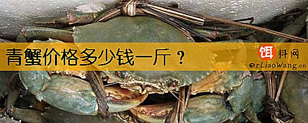 青蟹价格多少钱一斤