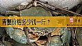 《青蟹价格多少钱一斤？》封面图