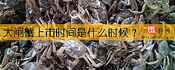 大闸蟹上市时间是什么时候