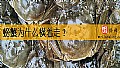 《螃蟹为什么横着走？》封面图