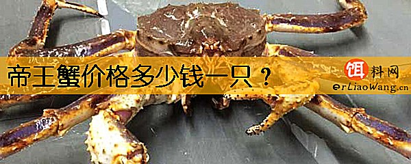 帝王蟹价格多少钱一只