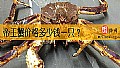 《帝王蟹价格多少钱一只？》封面图