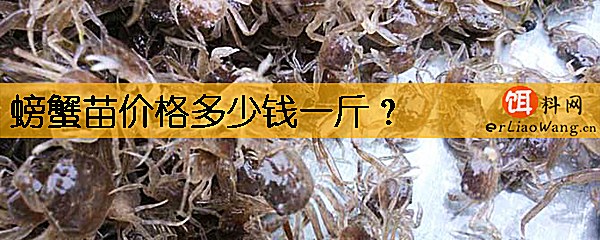 螃蟹苗价格多少钱一斤
