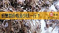《螃蟹苗价格多少钱一斤？》封面图