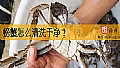 《螃蟹怎么清洗干净？》封面图