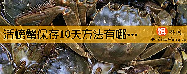 活螃蟹保存10天方法有哪些