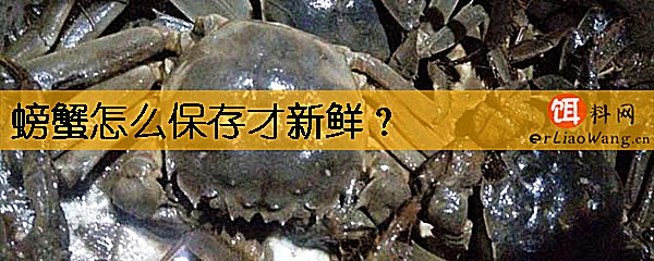 螃蟹怎么保存才新鲜