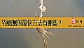 《钓螃蟹的最快方法有哪些？》封面图