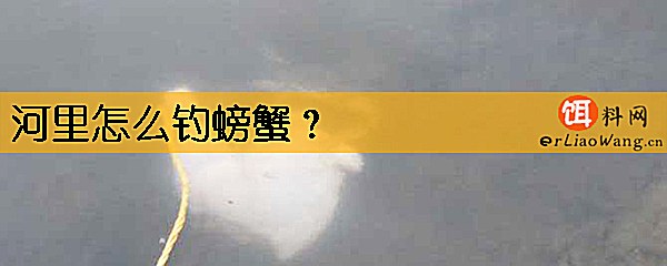 河里怎么钓螃蟹