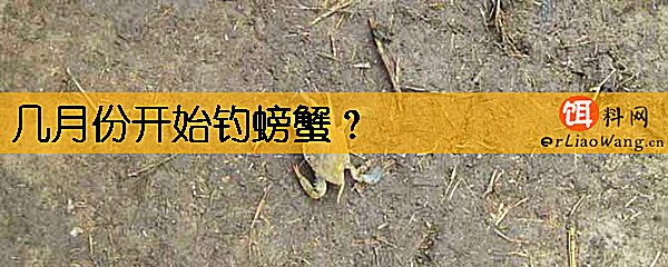 几月份开始钓螃蟹