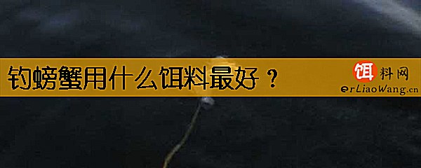 钓螃蟹用什么饵料最好