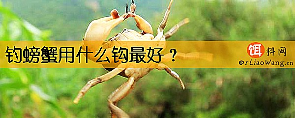 钓螃蟹用什么钩最好