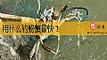 《用什么钓螃蟹最快？》封面图