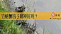 《钓螃蟹钩子哪种好用？》封面图