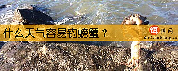 什么天气容易钓螃蟹