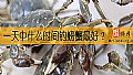 《一天中什么时间钓螃蟹最好？》封面图