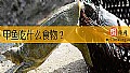 《甲鱼吃什么食物？》封面图