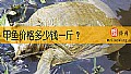 《甲鱼价格多少钱一斤？》封面图