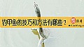 《钓甲鱼的技巧和方法有哪些？》封面图