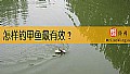 《怎样钓甲鱼最有效？》封面图