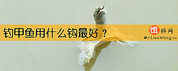 钓甲鱼用什么钩最好