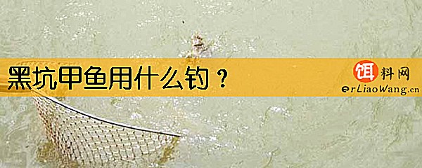 黑坑甲鱼用什么钓