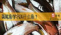 《黄尾鱼学名叫什么鱼？》封面图