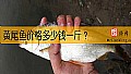 《黄尾鱼价格多少钱一斤？》封面图