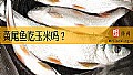 《黄尾鱼吃玉米吗？》封面图