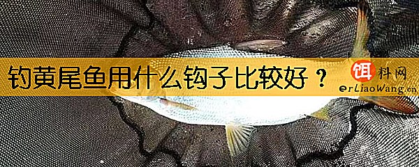 钓黄尾鱼用什么钩子比较好