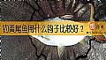 《钓黄尾鱼用什么钩子比较好?》封面图