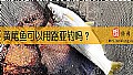 黄尾鱼可以用路亚钓吗？