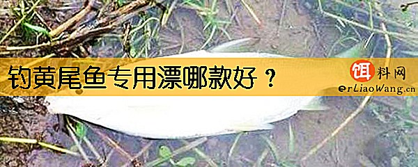 钓黄尾鱼专用漂哪款好