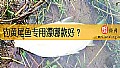 《钓黄尾鱼专用漂哪款好？》封面图