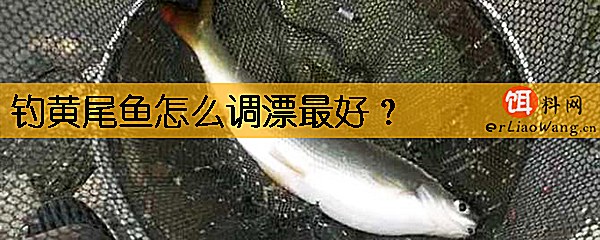 钓黄尾鱼怎么调漂最好