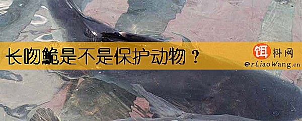 长吻鮠是不是保护动物